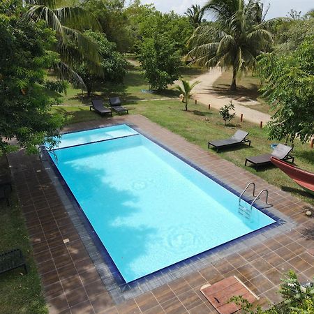 Yala Peace Cottages Тиссамахарама Экстерьер фото