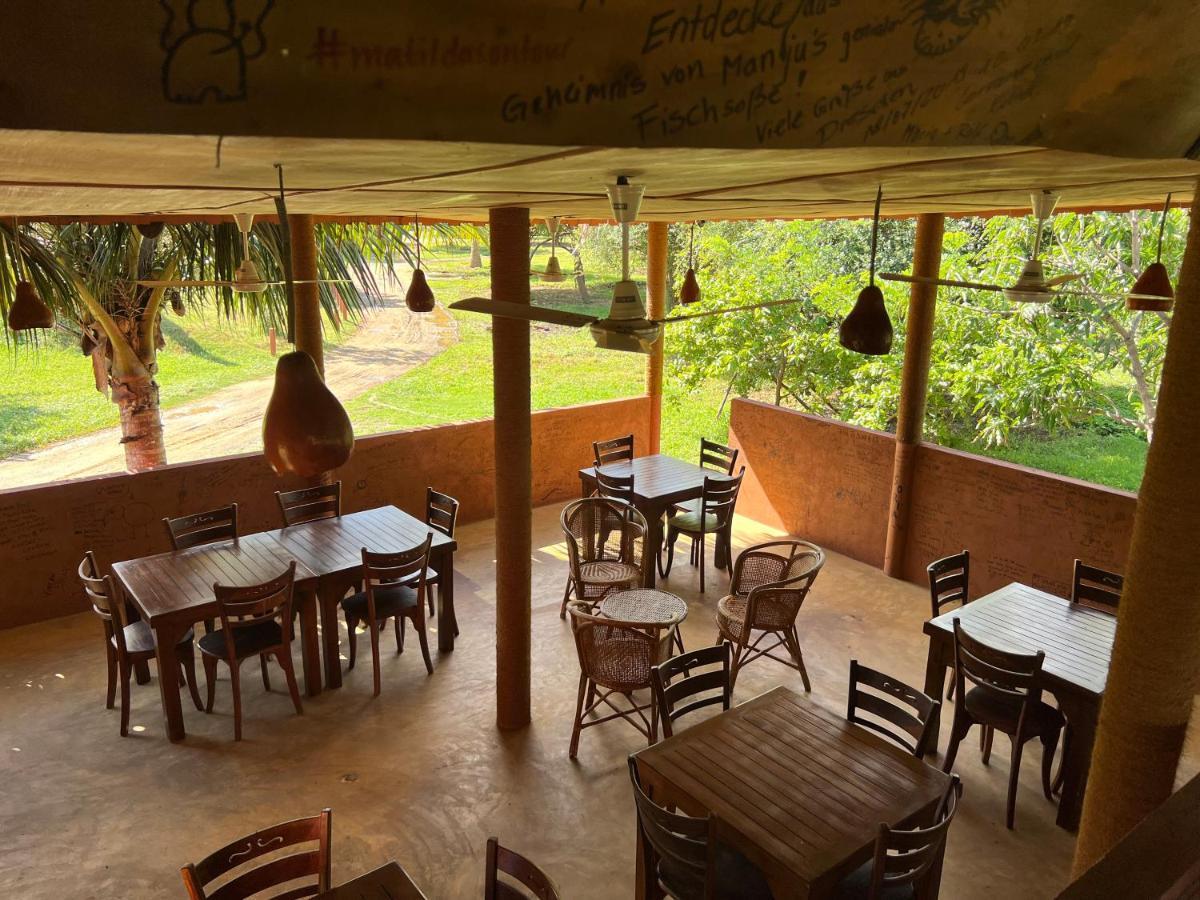 Yala Peace Cottages Тиссамахарама Экстерьер фото
