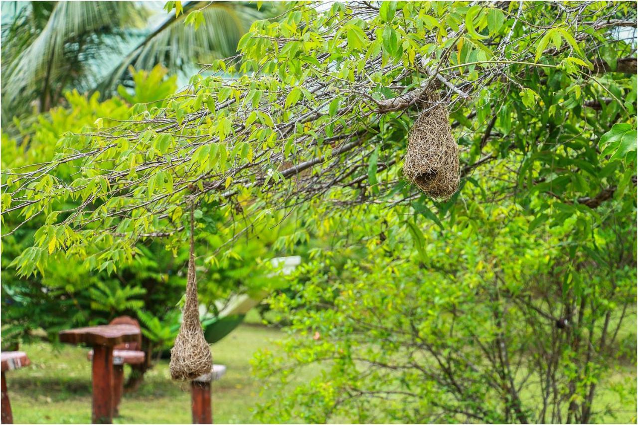 Yala Peace Cottages Тиссамахарама Экстерьер фото