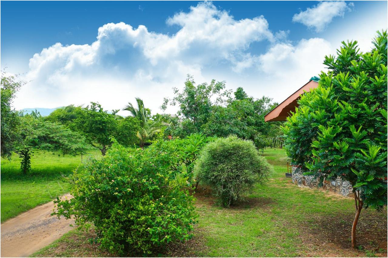 Yala Peace Cottages Тиссамахарама Экстерьер фото