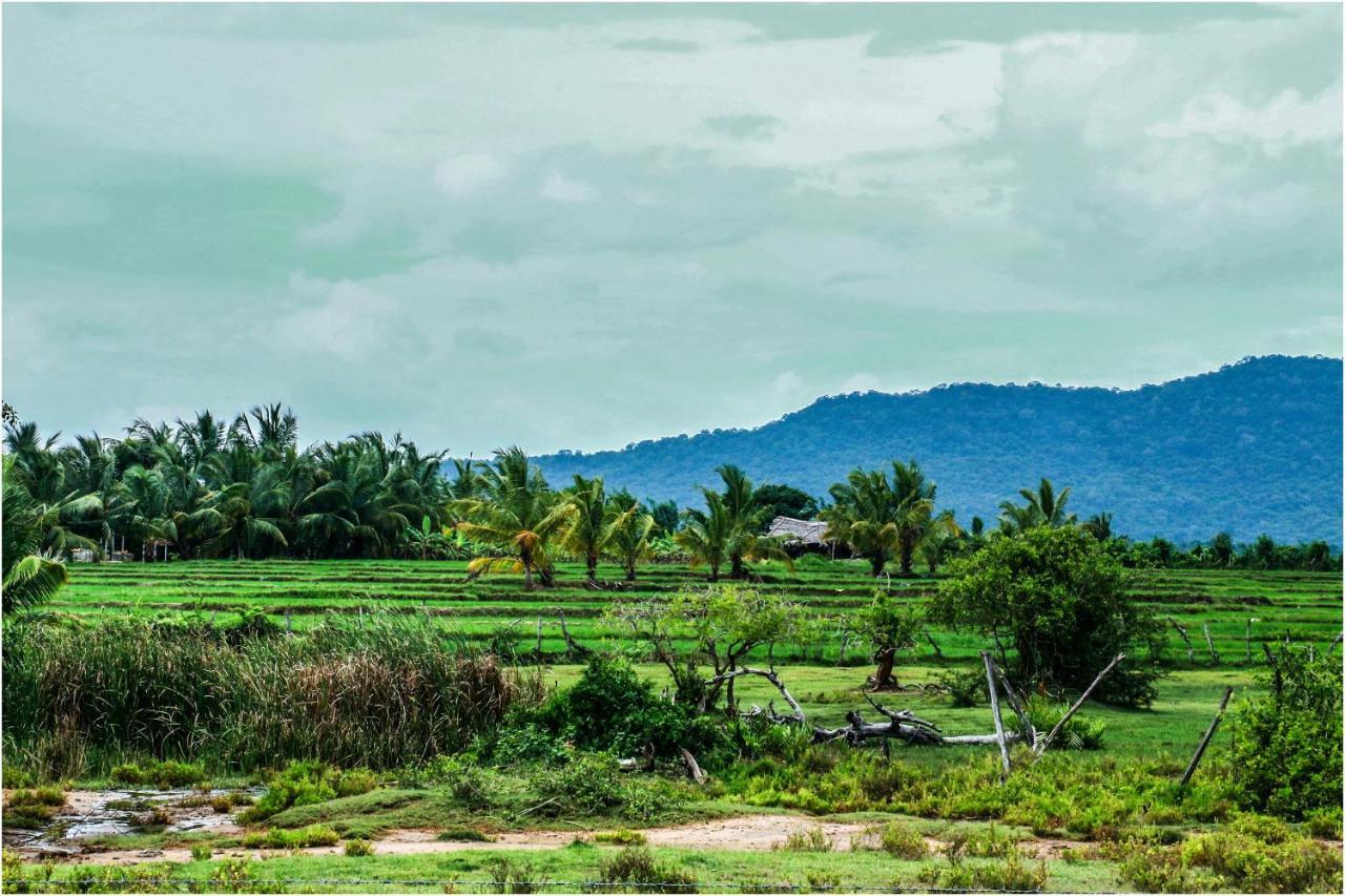 Yala Peace Cottages Тиссамахарама Экстерьер фото